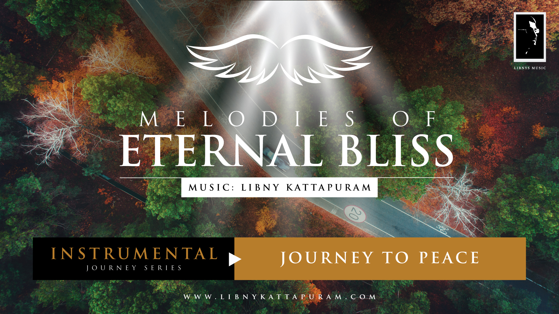 Melodies-Of-Eternal-Bliss-Instrumental-LibnyKattapuram-JourneytoPeace-Cover